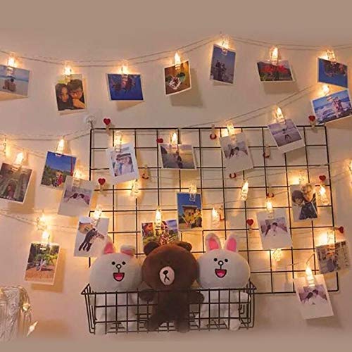 40 LED Photo Clips - Tapestry Girls