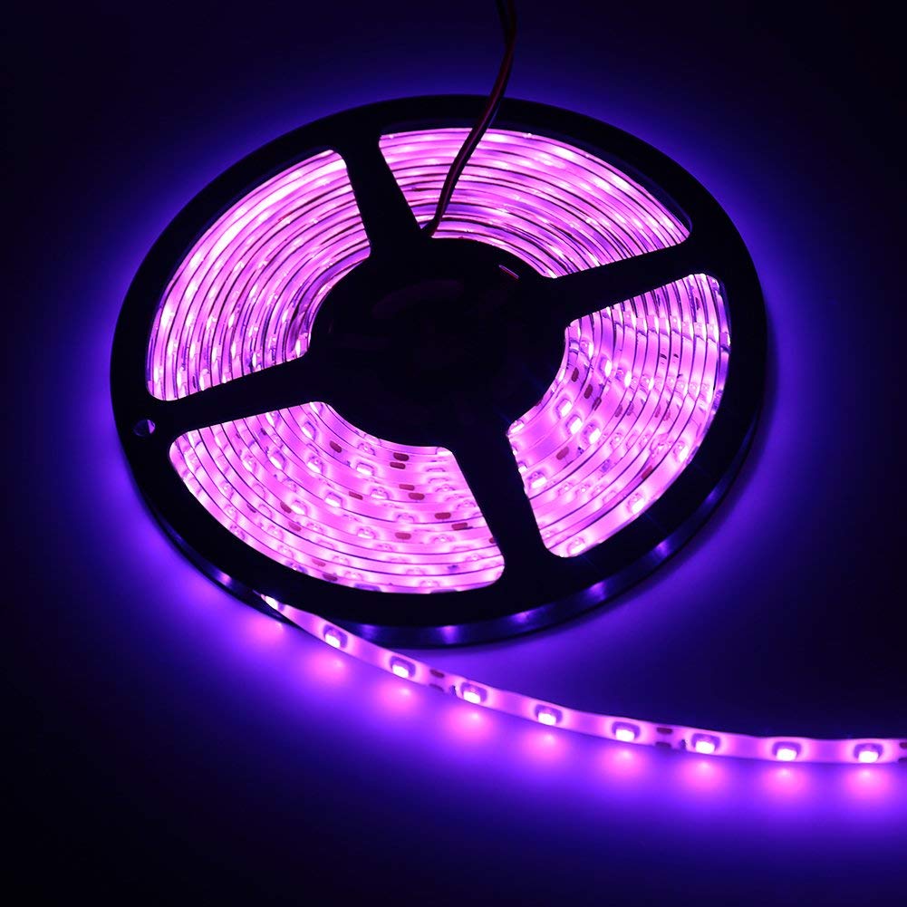Are LED lights purple?