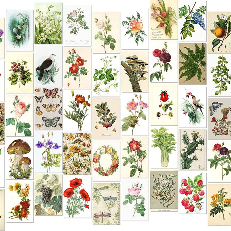 Cottagecore Botanical Wall Collage Kit
