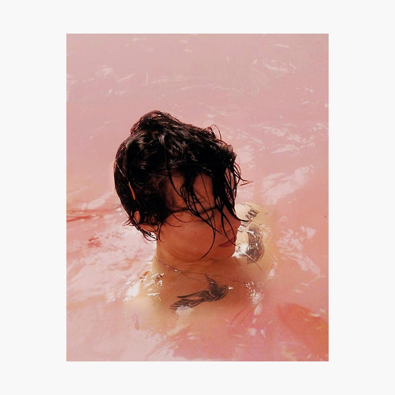 Harry Swimming in Pink Water Poster - Tapestry Girls