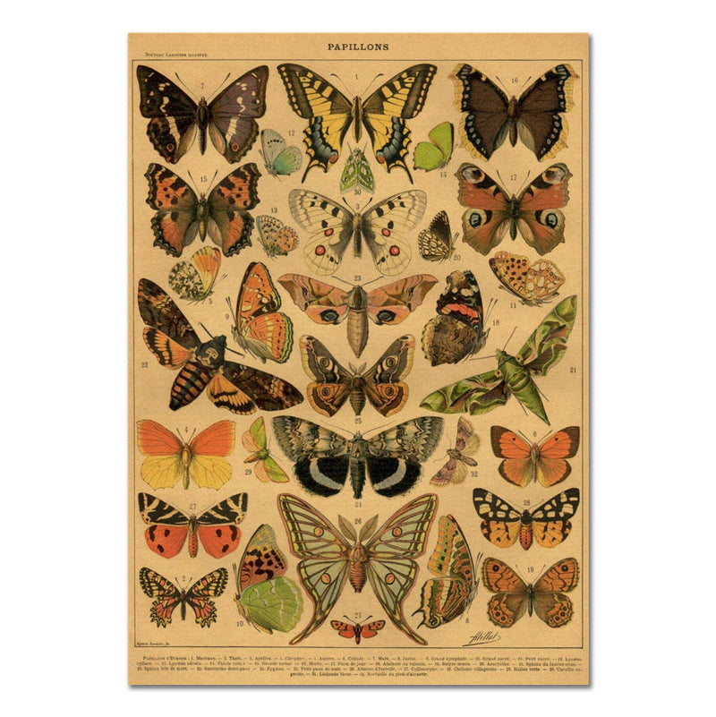 Papillons Craft Paper Poster