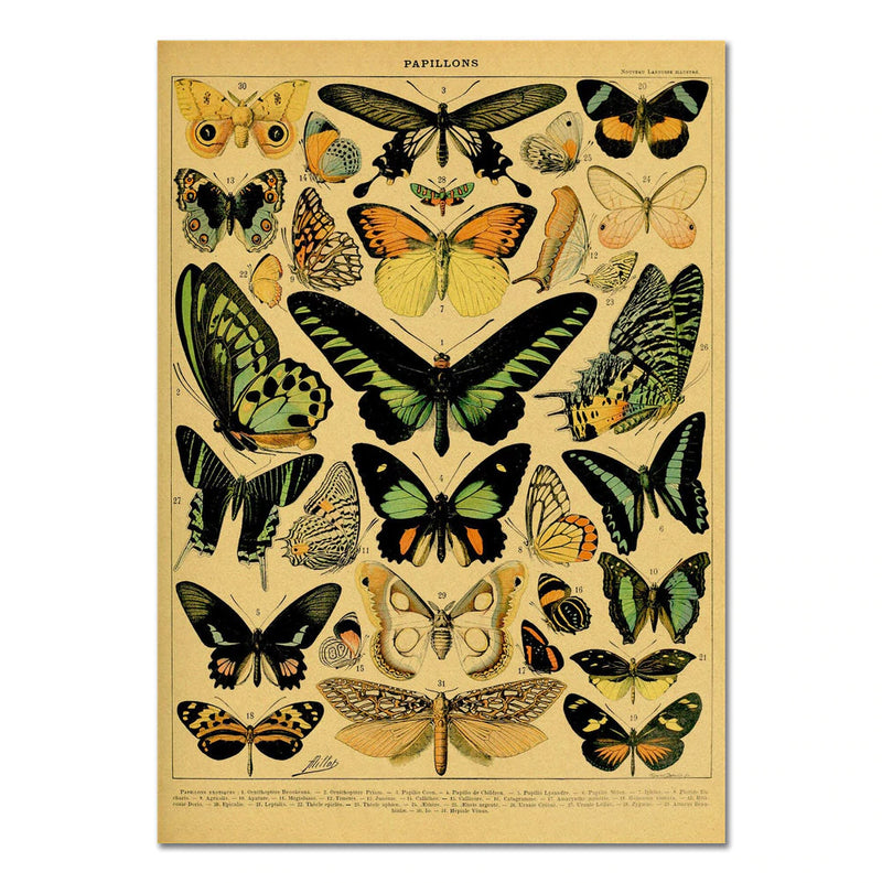 Papillons Craft Paper Poster