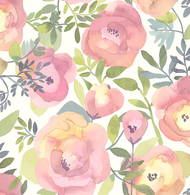 Peachy Keen Pink Removable Wallpaper - Tapestry Girls