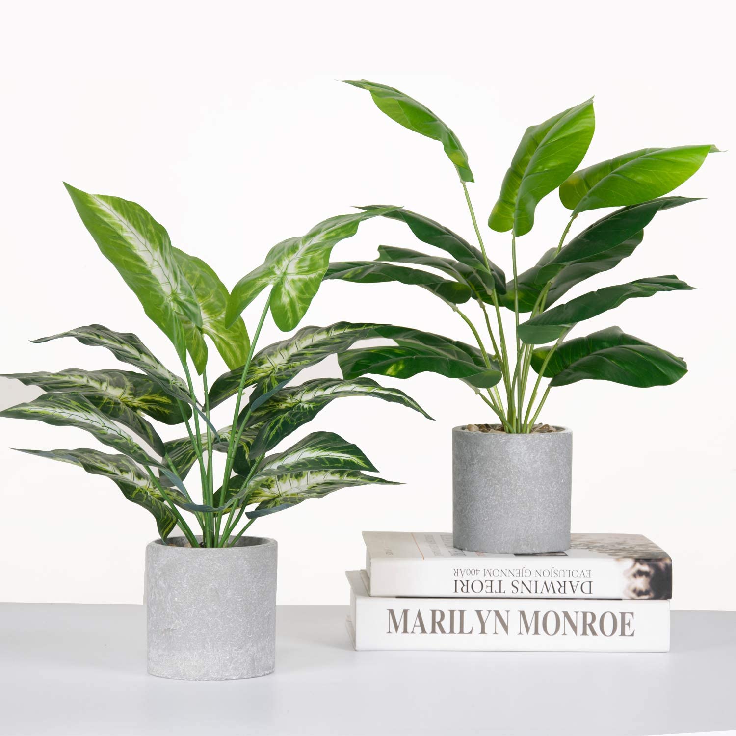 stones for indoor plants Stone Potted Plants 2-Pack