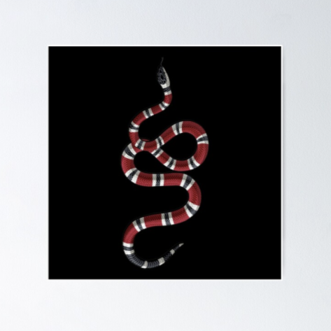Gucci Serpent Poster